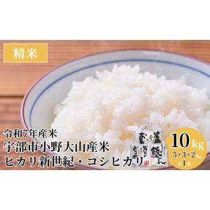 ふるさと納税 米 コシヒカリ 山口県 宇部市 令...の商品画像
