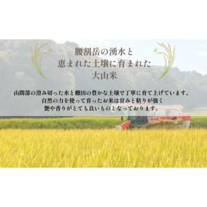ふるさと納税 玄米 山口県 宇部市 玄米 令和...の詳細画像2