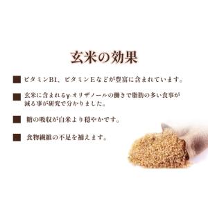 ふるさと納税 玄米 山口県 宇部市 玄米 令和...の詳細画像4