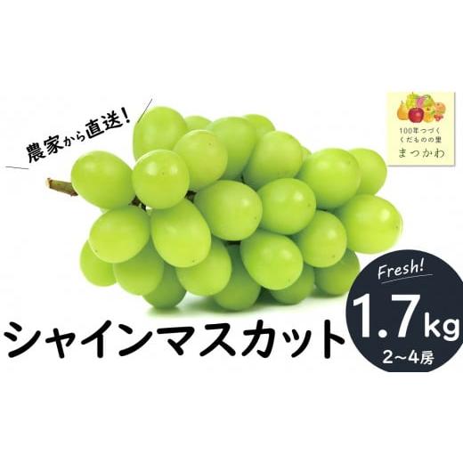 ふるさと納税 長野県 松川町 KG01-24A ぶどう シャインマスカット 贈答 約1.7kg ／9...