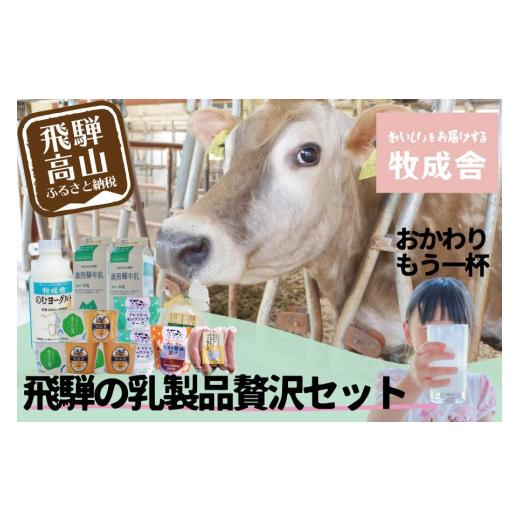 ふるさと納税 飲料類 牛乳 岐阜県 高山市  牧成舎 飛騨の牛乳屋のこだわり乳製品贅沢セット（牛乳・...