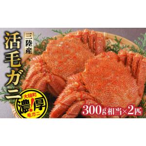 ふるさと納税 岩手県 大槌町 三陸産活毛ガニ300g相当×2杯(2尾)