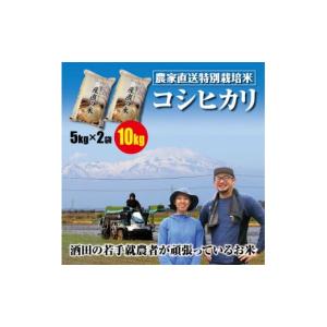 ふるさと納税 山形県 酒田市 SB0420　令和5年産【精米】特別栽培米 コシヒカリ　10kg(5kg×2袋)「たかとし農園」 SI｜ふるさとチョイス