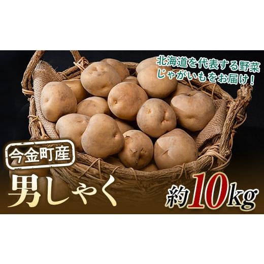 ふるさと納税 野菜類 じゃがいも 北海道 今金町  先行予約 北海道今金町産男爵いも 約10kg 2...