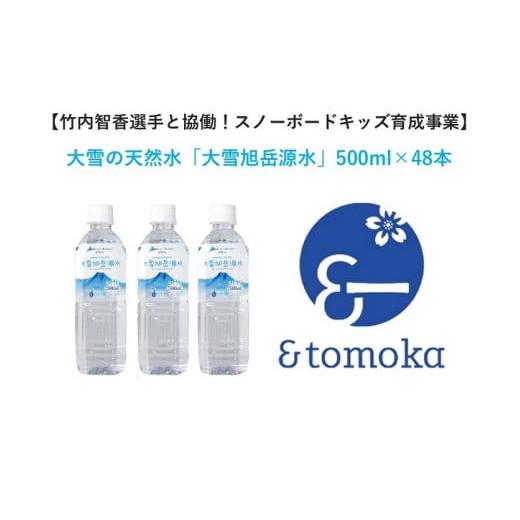 ふるさと納税 北海道 東川町 【特定事業応援品】＜大雪旭岳源水＞500mＬ×48本【10001019...