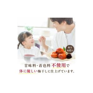 ふるさと納税 加工品等 梅干 和歌山県 御坊市...の詳細画像2