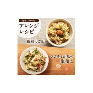 ふるさと納税 加工品等 梅干 和歌山県 御坊市...の詳細画像4