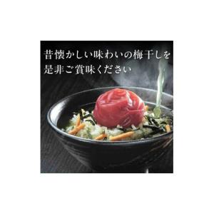 ふるさと納税 加工品等 梅干 和歌山県 御坊市...の詳細画像5