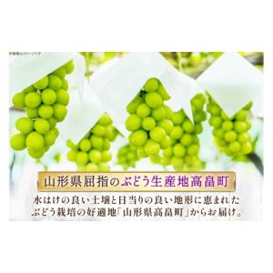 ふるさと納税 ぶどう マスカット 山形県 高畠...の詳細画像3