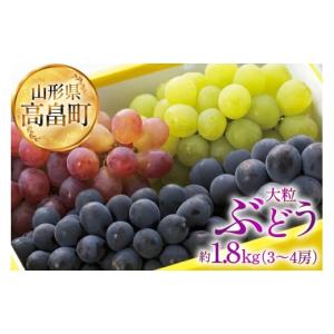 ふるさと納税 ぶどう マスカット 山形県 高畠...の詳細画像5