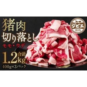 ふるさと納税 猪肉 熊本県 八代市 令和8年熊...の詳細画像1