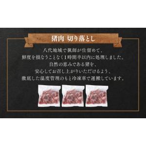 ふるさと納税 猪肉 熊本県 八代市 令和8年熊...の詳細画像2