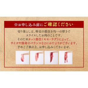 ふるさと納税 猪肉 熊本県 八代市 令和8年熊...の詳細画像3