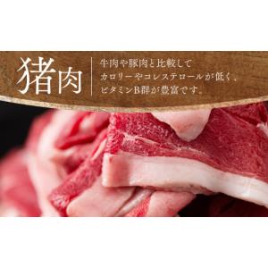 ふるさと納税 猪肉 熊本県 八代市 令和8年熊...の詳細画像4