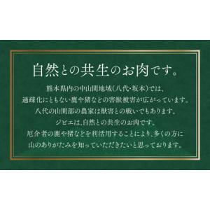 ふるさと納税 猪肉 熊本県 八代市 令和8年熊...の詳細画像5