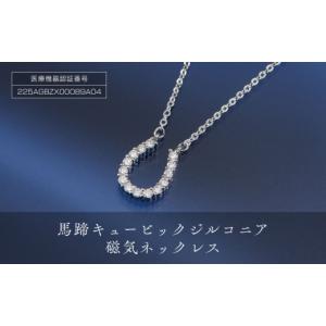 TIFFANY&Co.（ティファニー） ネックレス ペンダント GO WOMEN 2018