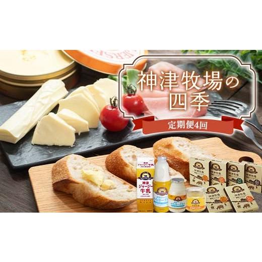 ふるさと納税 牛乳・乳飲料 群馬県 下仁田町  神津牧場 神津牧場の四季（年4回配送） ジャージー牛...