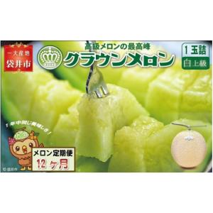 ふるさと納税 メロン メロン青肉 静岡県 袋井...の詳細画像1