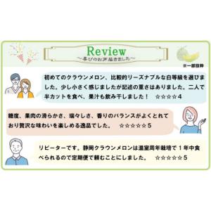 ふるさと納税 メロン メロン青肉 静岡県 袋井...の詳細画像4