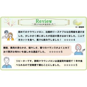 ふるさと納税 メロン メロン青肉 静岡県 袋井...の詳細画像4