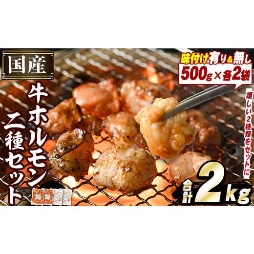 ふるさと納税 牛肉 ホルモン 鹿児島県 阿久根市 ＼テレビで紹介されました ／ 選べる2種 国産牛ホ...