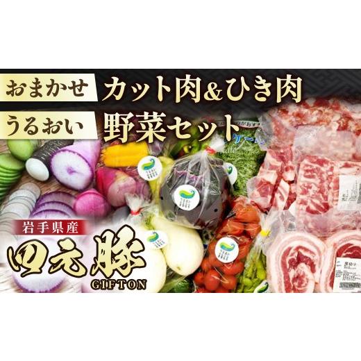 ふるさと納税 豚肉 セット 岩手県 北上市 四元豚 おまかせカット肉＆ひき肉 うるおい野菜セット G...
