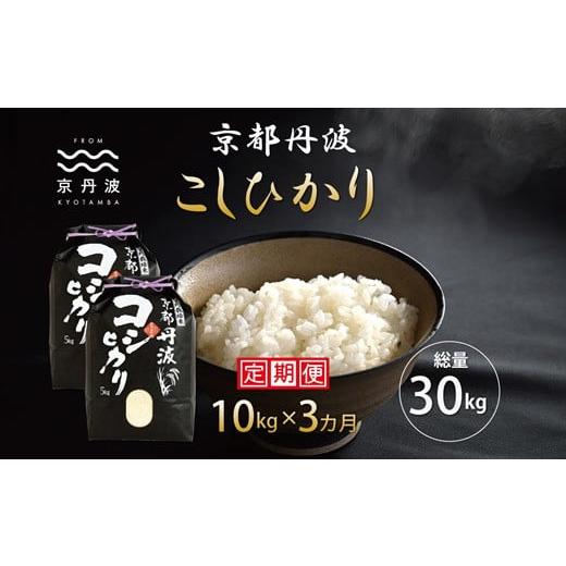 ふるさと納税 京都府 京丹波町 【3カ月定期便】《新米先行予約》 京丹波こしひかり 10kg×3カ月...