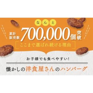 ふるさと納税 肉 ハンバーグ 福岡県 新宮町 ...の詳細画像3