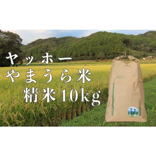 ふるさと納税 大分県 杵築市 山浦地区まちづくり推進協議会のヤッホーやまうら米 10kg（精米） 米...