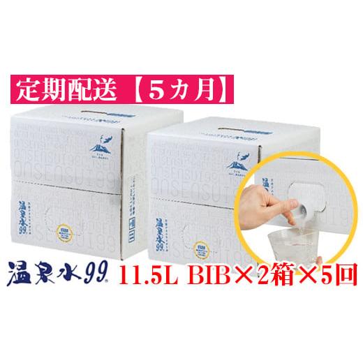 ふるさと納税 水・ミネラルウォーター 2.1L〜 鹿児島県 垂水市 F6-0808／ 5回定期 飲む...