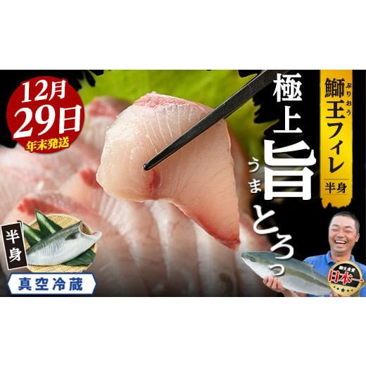 ふるさと納税 旬の鮮魚等 鹿児島県 長島町  数量限定 2025年12月29日発送 『旅サラダ』で紹...