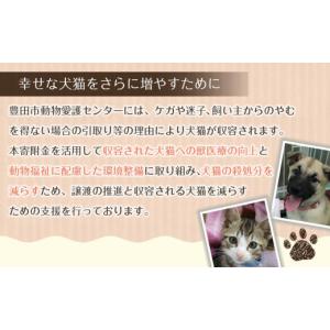 ふるさと納税 生き物 愛知県 豊田市 お礼の品...の詳細画像2