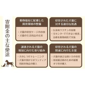 ふるさと納税 生き物 愛知県 豊田市 お礼の品...の詳細画像3