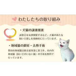 ふるさと納税 生き物 愛知県 豊田市 お礼の品...の詳細画像4