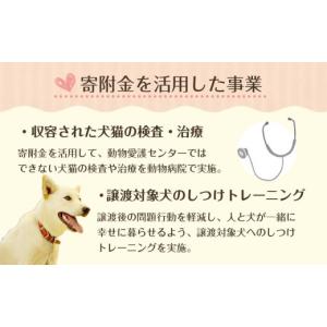 ふるさと納税 生き物 愛知県 豊田市 お礼の品...の詳細画像5
