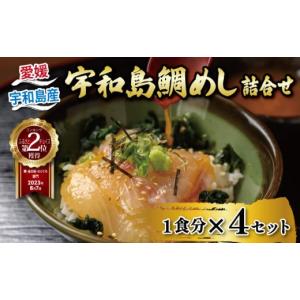 ふるさと納税 魚貝類 鯛 愛媛県 宇和島市 ＼10営業日以内発送／ 鯛めし 4食 セット 辻水産 生鯛めし 真鯛 鯛 マダイ タイ tai 刺身 お刺身 刺し身 漬け丼 漬け…