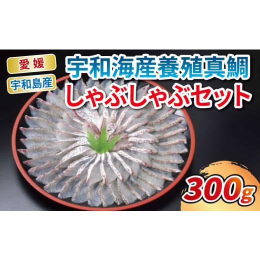 ふるさと納税 しゃぶしゃぶ 愛媛県 宇和島市 ＼10営業日以内発送／ 鯛しゃぶ 宇和海産 真鯛 しゃ...