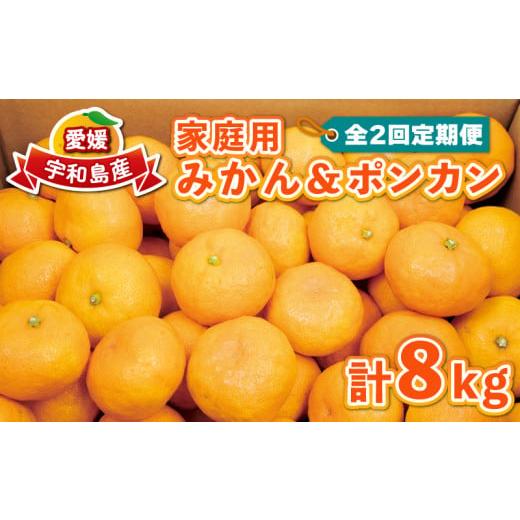 ふるさと納税 愛媛県 宇和島市 柑橘 定期便 2回 温州みかん 4kg ポンカン 4kg 計8kg ...