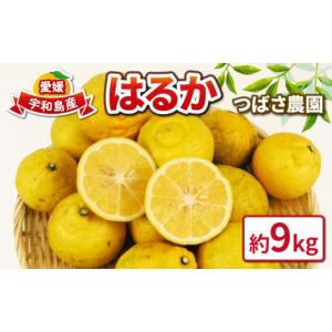ふるさと納税 みかん・柑橘類 愛媛県 宇和島市 先行予約 はるか 9kg 愛媛みかん つばさ農園 家庭用 果物 くだもの フルーツ 柑橘 みかん 愛媛蜜柑 愛媛県産 mi…