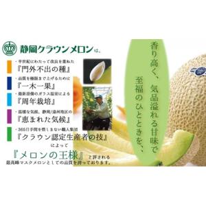 ふるさと納税 メロン メロン青肉 静岡県 浜松...の詳細画像3