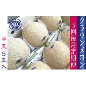 ふるさと納税 メロン メロン青肉 静岡県 浜松...の詳細画像1