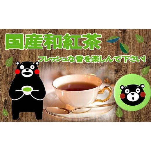 ふるさと納税 熊本県 甲佐町 緑缶　国産和紅茶ティーパック