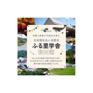 ふるさと納税 ジャム 千葉県 南房総市 思いや...の詳細画像3