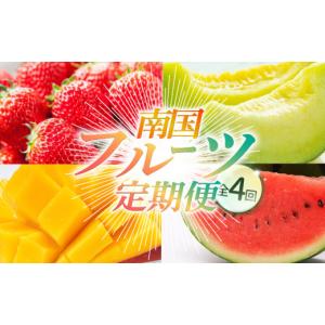 ふるさと納税 スイカ 高知県 南国市 年4回 ...の詳細画像1