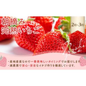ふるさと納税 スイカ 高知県 南国市 年4回 ...の詳細画像2