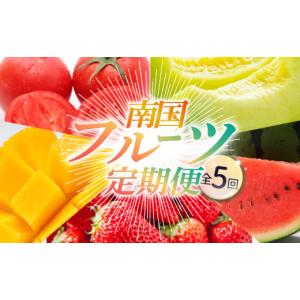 ふるさと納税 果物類 高知県 南国市 年5回 旬...の商品画像