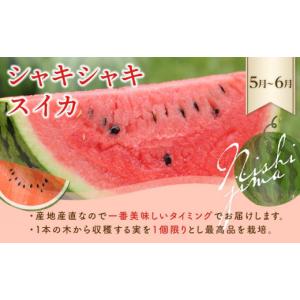 ふるさと納税 果物類 高知県 南国市 年5回 ...の詳細画像3