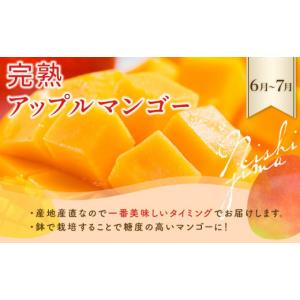 ふるさと納税 果物類 高知県 南国市 年5回 ...の詳細画像4