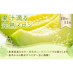 ふるさと納税 果物類 高知県 南国市 年5回 ...の詳細画像5