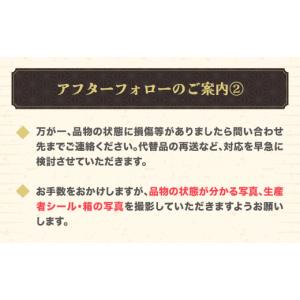 ふるさと納税 スイカ 山形県 尾花沢市 チョイ...の詳細画像5